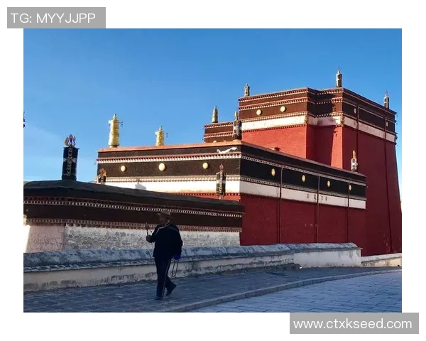 蒂尔曼赞科塔在顺逆境中始终保持冷静心态令人钦佩