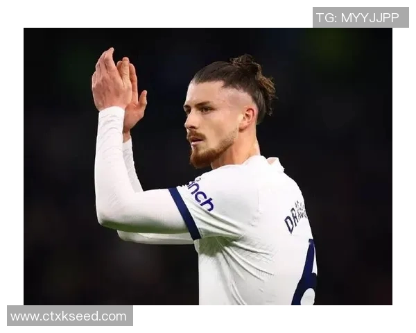 热刺伤情更新穆阿尼德拉古辛有望出战维拉索兰克归期仍待确定