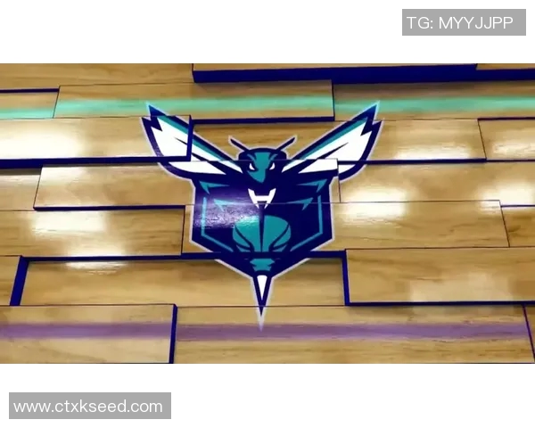 黄蜂主帅强调核心与辅助阵容搭配的重要性并透露未来将进行调整