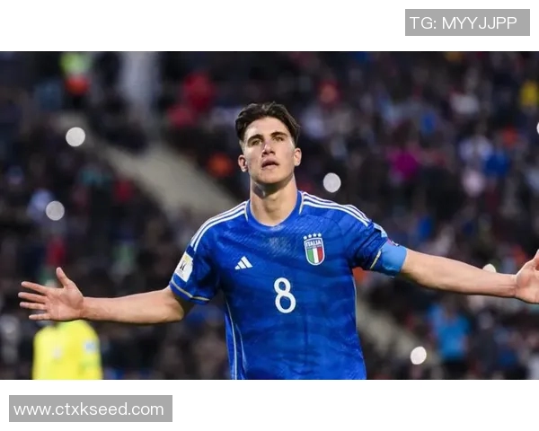 切尔西热刺冬窗瞄准罗克球员为备战世界杯拒绝转会