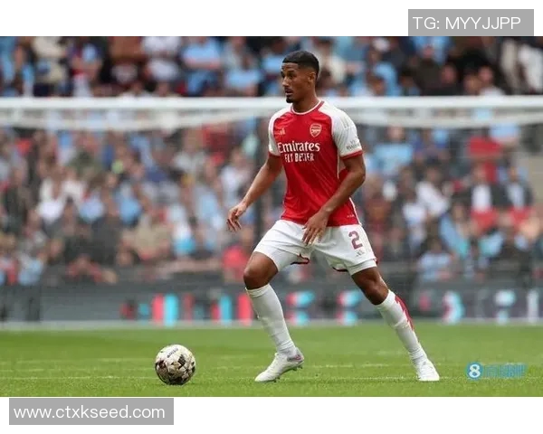 萨利巴称赞海因策为阿森纳注入活力尤其助力后卫提升表现